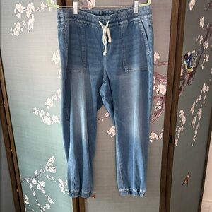 Lane Bryant Faded Denim Jogger Blue Jeans